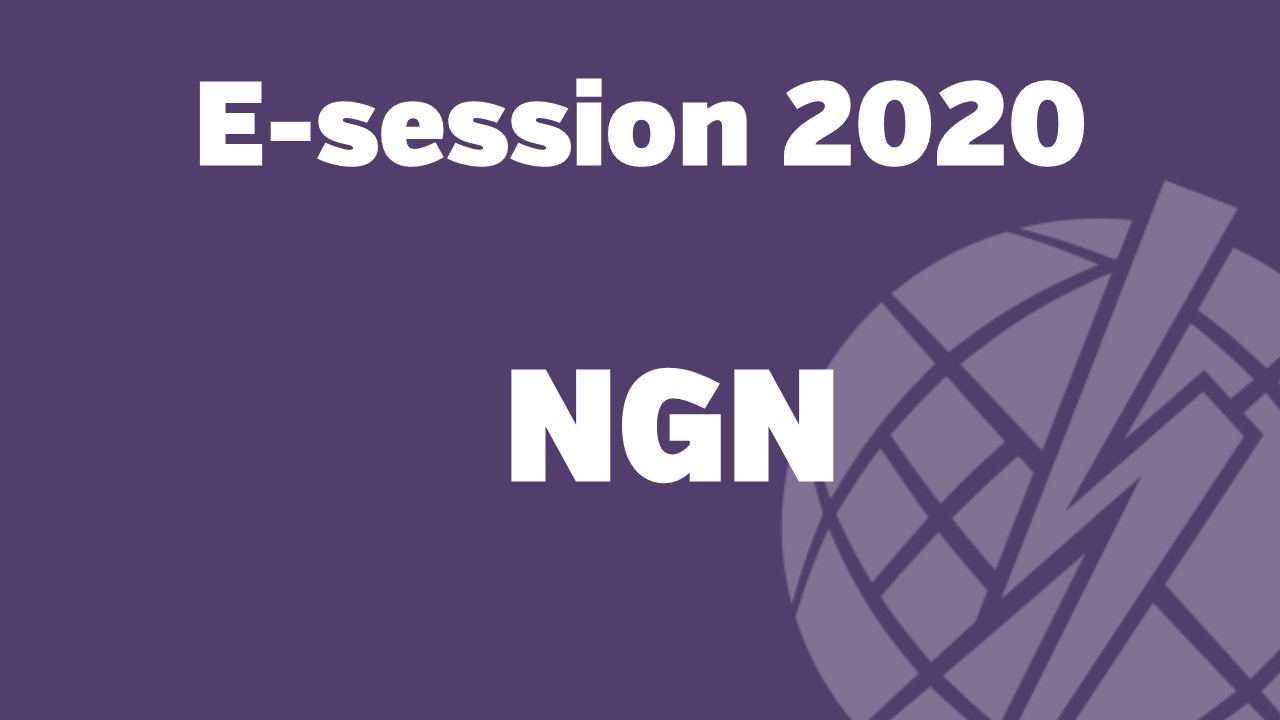 e-session_20200828_International NGN Activities Update and Discussion