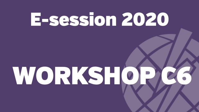 e-session_20200824_C6 Workshop - Panel on End-to-end power systems enabling the energy transition and market transformation