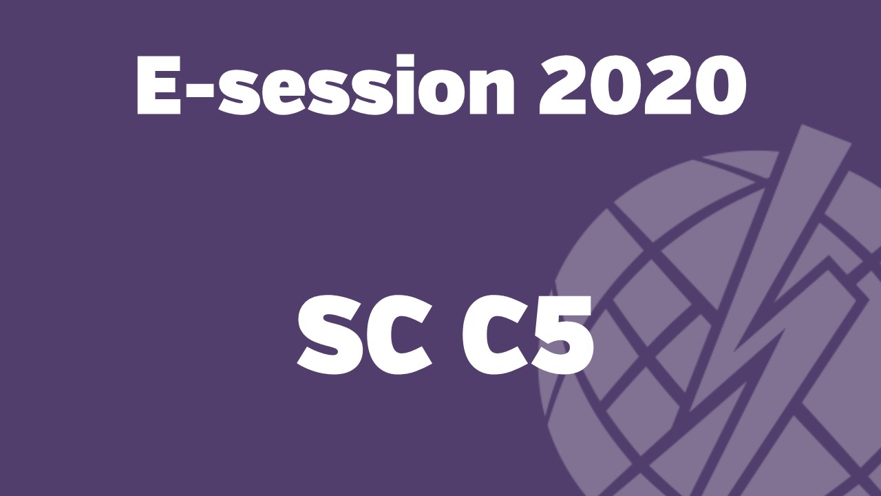 e-session_20200902_Paper session 1 on Electricity markets and regulation (SC C5)